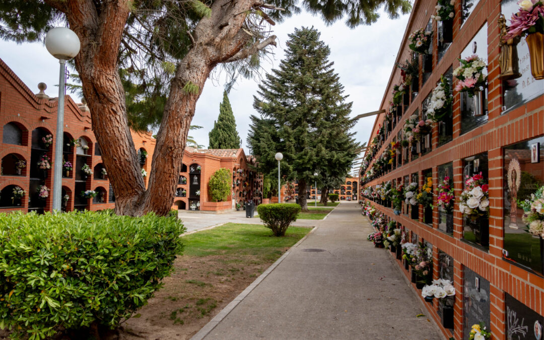 Ampliación cementerio – Alfaro