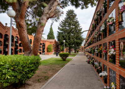 Ampliación cementerio – Alfaro